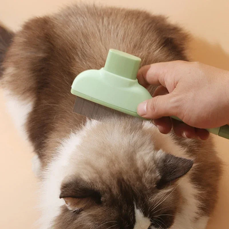 Pet Hair Removal Brush – Effortless grooming for cats & dogs, keep fur neat and your home cleaner