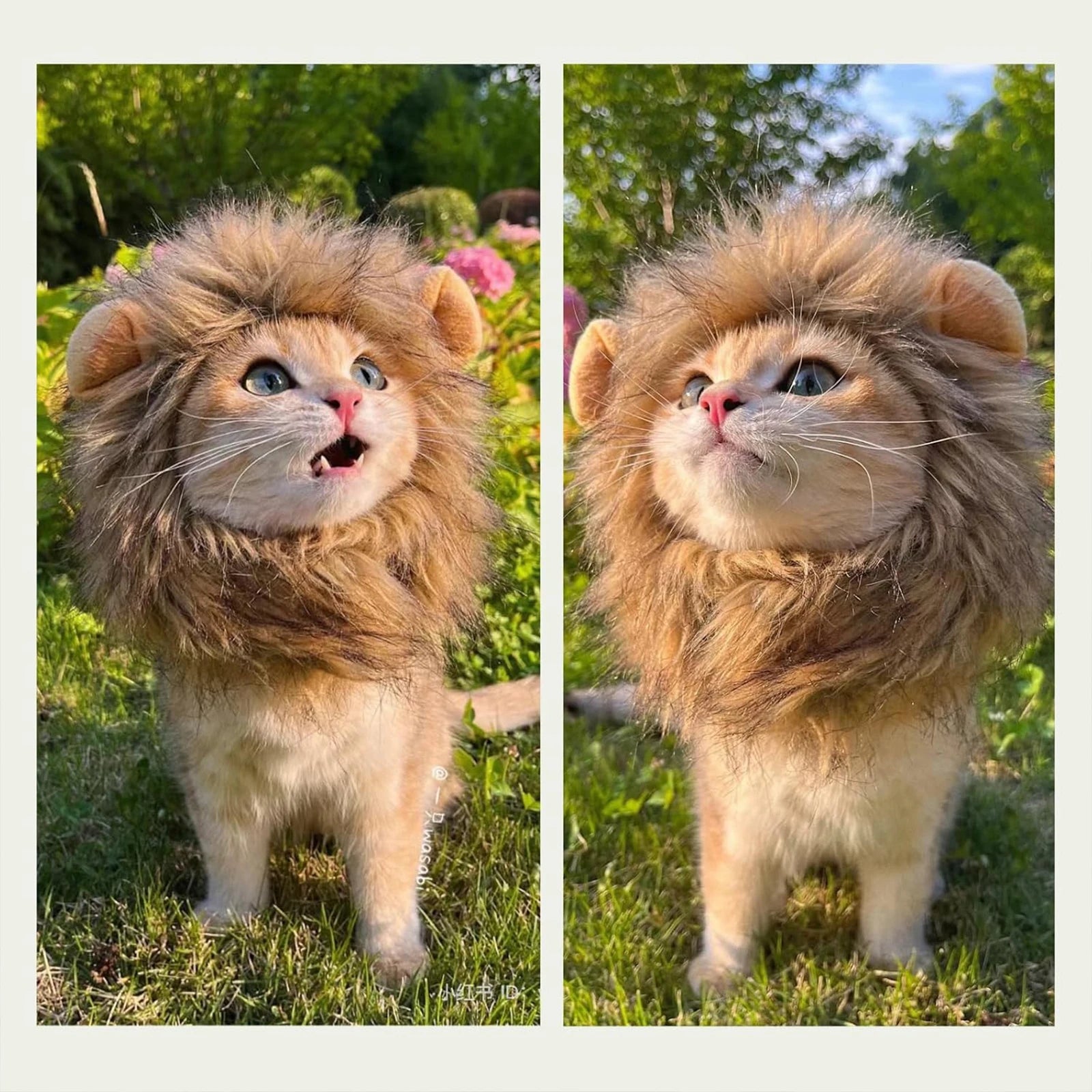 Lion Mane Pet Hat – Transform your pet into a majestic lion for parties, cosplay, or just for fun