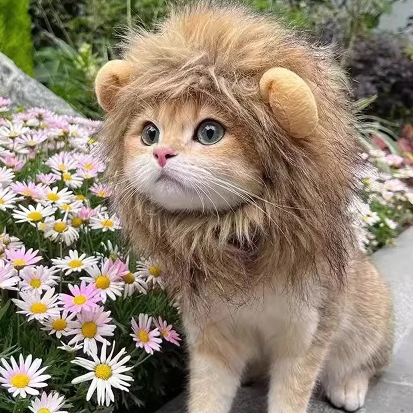 Lion Mane Pet Hat – Transform your pet into a majestic lion for parties, cosplay, or just for fun