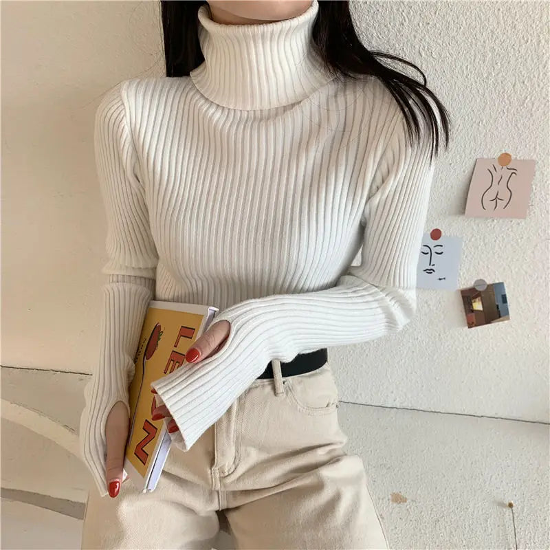 Slim Fitted Turtleneck — Cozy Pullover