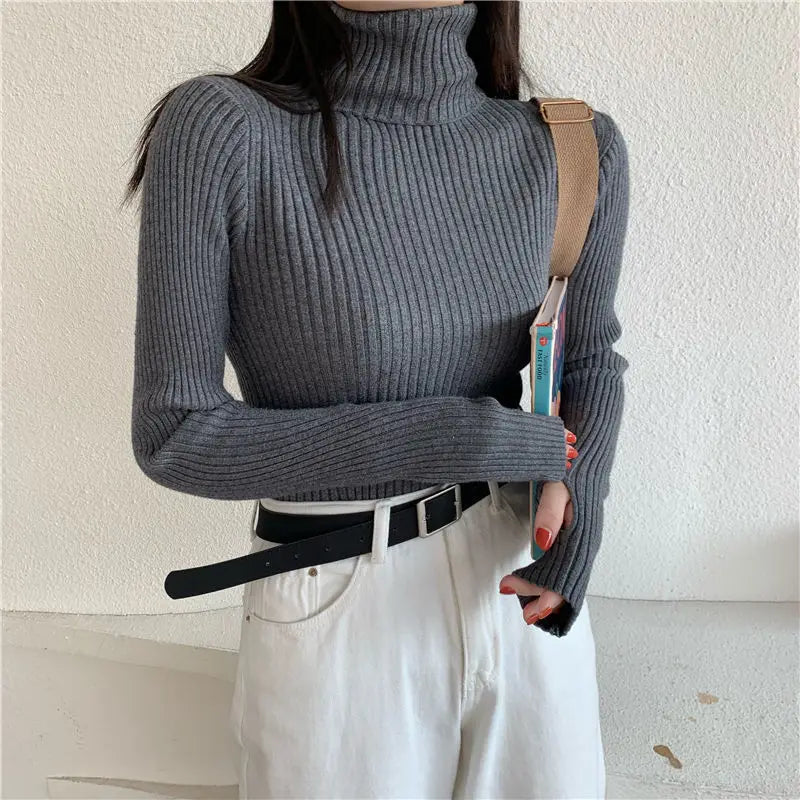 Slim Fitted Turtleneck — Cozy Pullover
