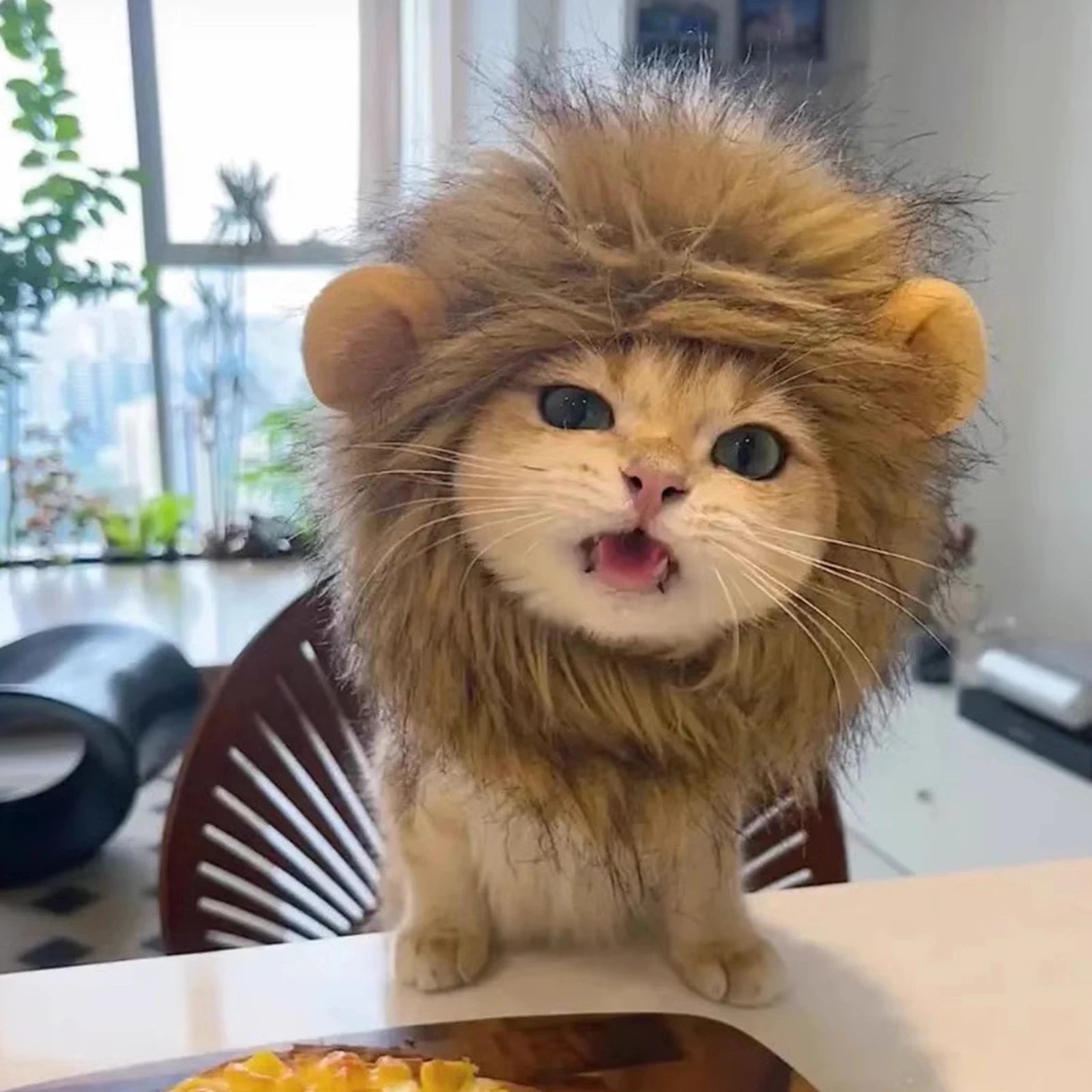 Lion Mane Pet Hat – Transform your pet into a majestic lion for parties, cosplay, or just for fun