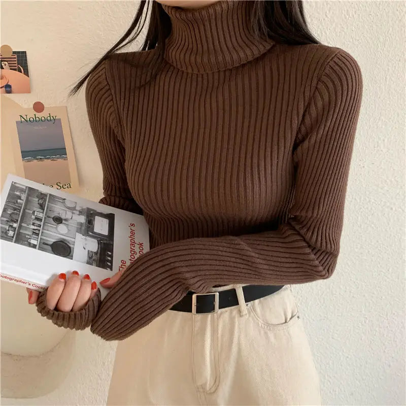 Slim Fitted Turtleneck — Cozy Pullover